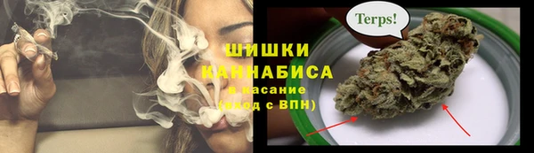 сатива Алексин