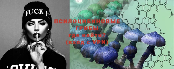 тгк Алексеевка